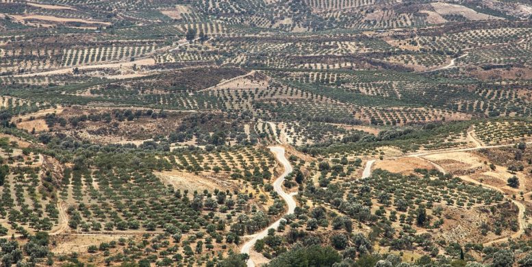 Les meilleures activités à faire en Grèce