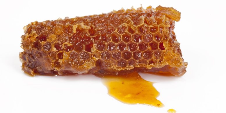 4 bienfaits de la propolis pour la santé